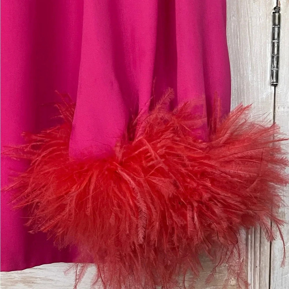 NERVI Penelope Flare-Sleeve Mini Shift Dress w/ Feather Trim - Picture 4 of 9